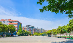 学校
