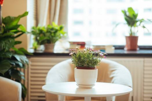 ����С��ģ���������̨������ͨ��